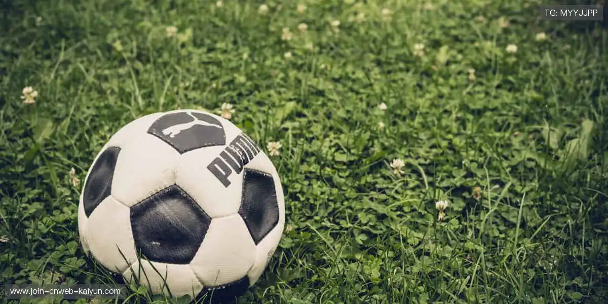 🎯 专业装备，助力突破极限！💪 每一次挥拍，都是精准的胜利！